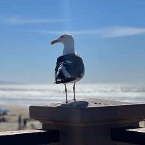 Meet your Posher, María